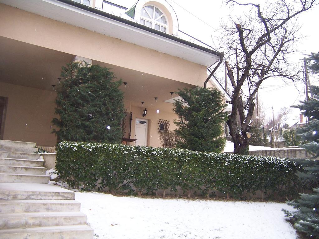 Villa Szekely Leányfalu Εξωτερικό φωτογραφία